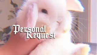 ☁︎ personal request ☁︎