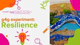 Our g4g experiment about RESILIENCE (Science you had me at hello&reg;)