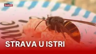 Ovi se simptomi ne smiju ignorirati, a policija &scaron;alje upozorenje | RTL Danas