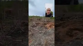 Свалка лигнина от гидролизного завода, уже всё заросло