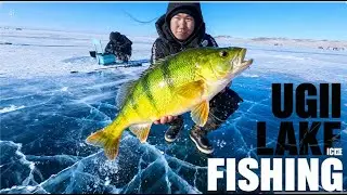 [Өвлийн нээлтээ хийв❄️]Өгий нуурын өвлийн загасчлал🎣Ugii lake ice fishing 🐟🎣