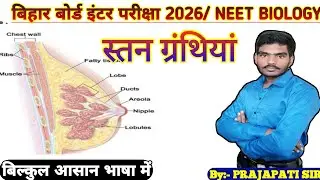 || BIOLOGY:- Mammary Gland || स्तन ग्रंथियां || Biology class 12th and NEET ||