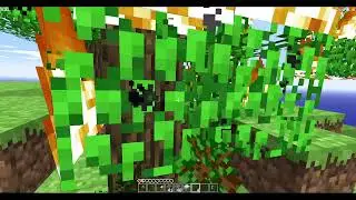 Version Indev 0.31 20100129
