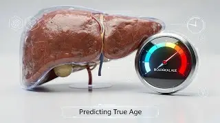 This Organ Determines Your Age More Than Your DNA | Doctor Explains |  #liverhealth #longevity