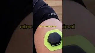 Nix Hydration Biosensora #shorts