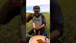 Vịt mồi, nhấp c&aacute; L&Oacute;C ĐEN : Duck bait, click on BLACK SNAKE fish
