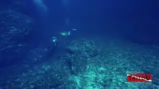 Diving in the Blue cave