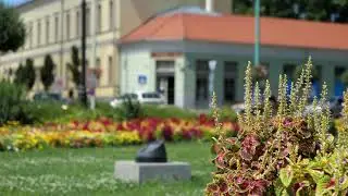 Panasonic GH5 II gyors &aacute;tf&oacute;kusz&aacute;l&aacute;s AF-fel (fast AF focusing during recording)