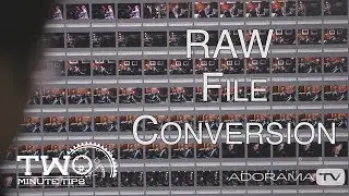 RAW Image Conversion: Two Minute Tips with David Bergman