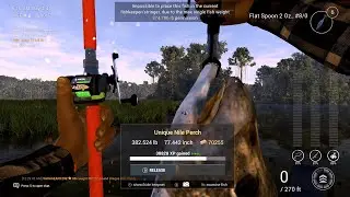 Fishing Planet congo money xp farm unique Nile Perch Flat Spoon 8/0
