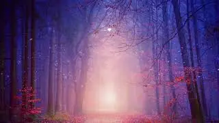 Mystical Forest Animation | Glowing Light & Flying Orbit Particles | Relaxing Ambient Visuals