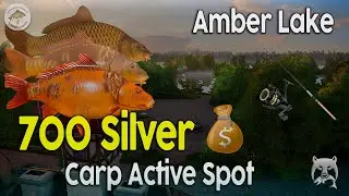 📌BEST Amber Lake CARP Spot! 700 Silver/Hour &ndash; Russian Fishing 4 (Mirror & Common Carp Guide)