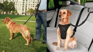 SlowTon Dog Seat Belt, 2 Pack Pet Car Seatbelt Headrest