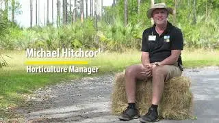 Michael Hitchcock - Horticulture Manager