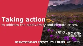 CEPF Impact Report 2021 Highlights