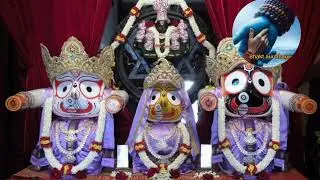 ଜୟ ଜୟ ଜଗନ୍ନାଥ ନୀଳା ଚାଳ ରାଜା 🙏 ଜଗନ୍ନାଥ ଭଜନ l odia bhajan 