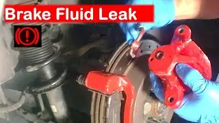 Fuga de Líquido de Frenos. Cambiar Sello del Pistón del Caliper. Purgar Freno.