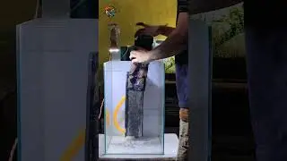 Very easy and exclusive Waterfall aquarium setup using thermocol.🐟 #fishtank #aquascape #plantedtank