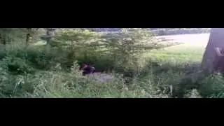 Roe Deer Abbots Wood Hailsham 11th Jun 2014   extra footage