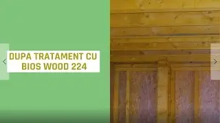 Tratament Lemn BIOS WOOD 224