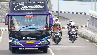 Video Gallery Foto Bus Po.Haryanto 2020 terbaru