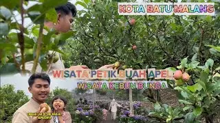 WISATA KEBUN APEL DAN KEBUN BUNGA DI KOTA BATU MALANG EPS. 7