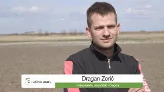 Proizvodnja povrca u selu Glogonj - U nasem ataru 784