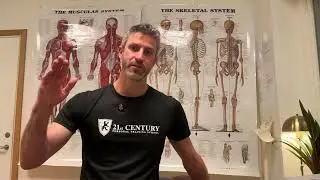 achilles tendon