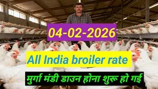 04-02-2026 poultry rate today poultry farm rate boiler rate murga mandi rate 