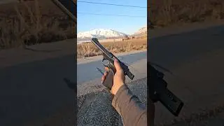 Browning Buck Mark .22LR pistol