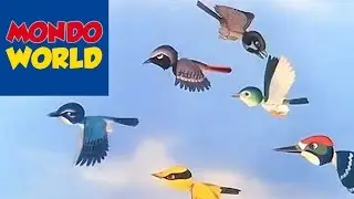 THE ROBIN - The Great Book of Nature - EN
