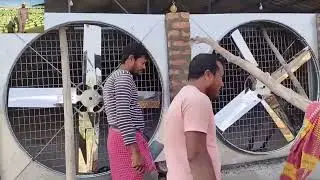 Hard Working Concrete AC Poultry Farm Business 👷🐔 | Success Story 2025