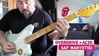 Sire Larry Carlton J5 (Jaguar Kasa) Tanıtım