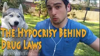 Alcohol Most Harmful Drug? | Drug Law Hypocrisy