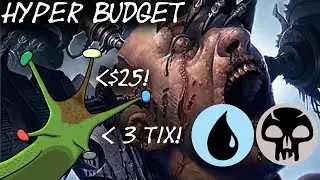 Hyper Budget Pauper: Store Brand UB Delver