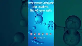 মনের #bangla #banglastory #videos #viral #viralvideo #vlog #youtube #youtuber #ytshort #blog