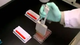 XF Prep Station - Automated Assay Plate Preparation