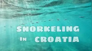 Сноркелинг в Адриатическом море. Хорватия.