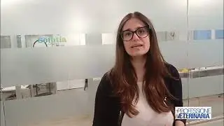Solutia Vet & Pet: la rete commerciale