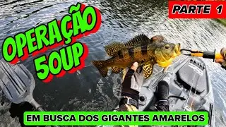 PESCARIA DOS SONHOS COM ISCA ARTIFICIAL!!! OPERAÇÃO 50UP - PARTE 1
