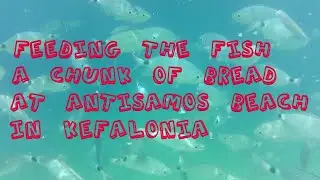 Feeding the fish at Antisamos beach, Kefalonia