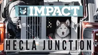 Impact Dog Crates - A Day in the Life