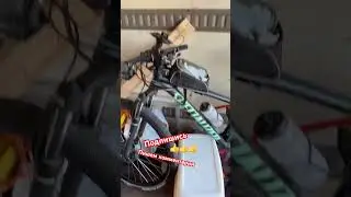 Подписываемся,пишем комментарии👍🤝 PayPal animalhelp28@gmail.com