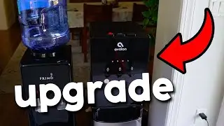 Testing Out The Avalon Bottom Loading Water Dispenser