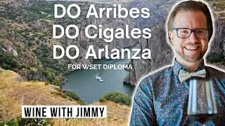 The Wines of Do Arribes, DO Cigales and DO Arlanza for WSET Level 4 ( Diploma)