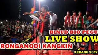 BINUD BIO PEGU||RONGANODI KANGKIN KEBANG2019||MISING CULTURE