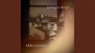 iddes journey