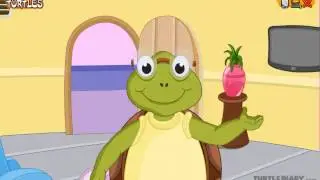 Fun Turtle & Tortoise Facts!   *Animal Science for Kids*