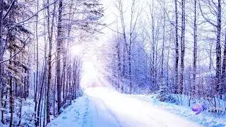 The S-Word (Snow Panic Song) 😂 | Funny Country Song About Snow Freakouts