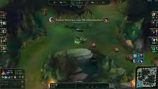 Sivir and the ducklings